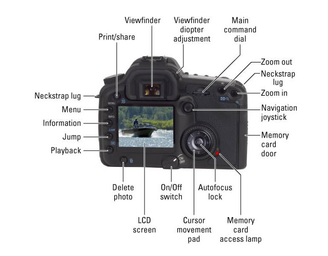 DSLR Camera Controls on the Back