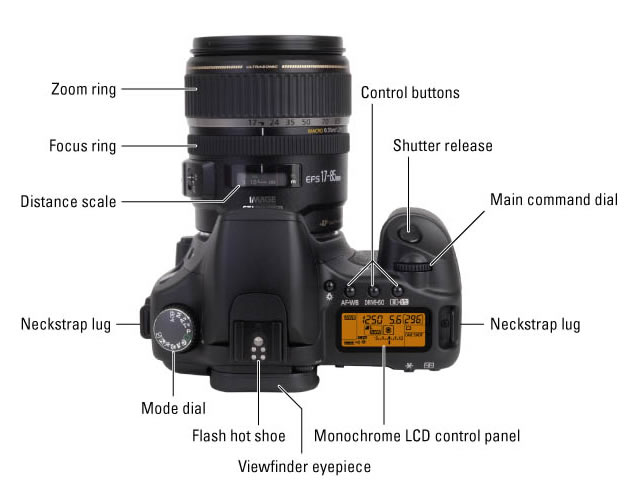 DSLR Camera Controls on the Top