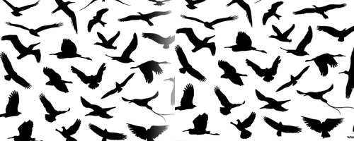 30 Flying Birds Photoshop Brushes