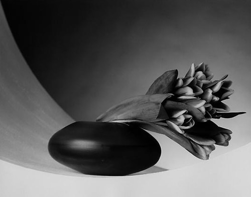 Robert Mapplethorpe