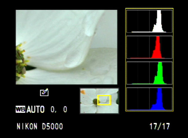 What is a Histogram?