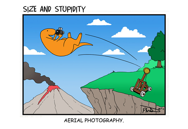 Funny Photography Comics and Cartoons