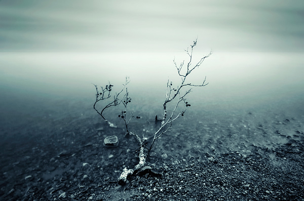 Showcase of the Week - Mikko Lagerstedt