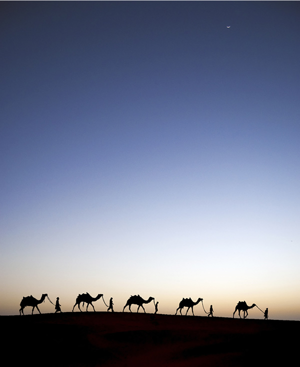 An evening shot in Thar, India 