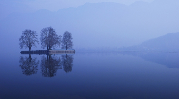 Lake - Srinagar, Kashmir, India