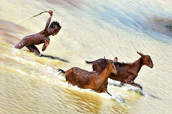 Life on the countryside - Madurai, Tamilnadu, India