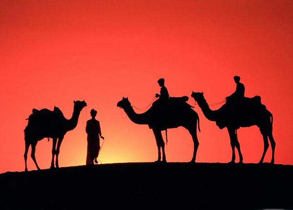 Sam sand dunes, Rajasthan, India