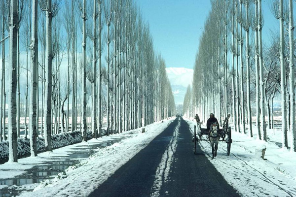 A farmer on the long road to Kashmir, India