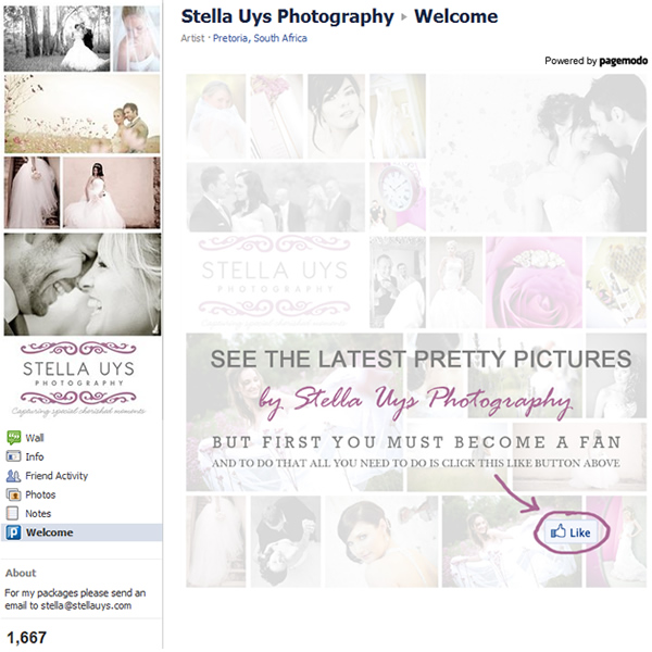 Stella Uys Photography