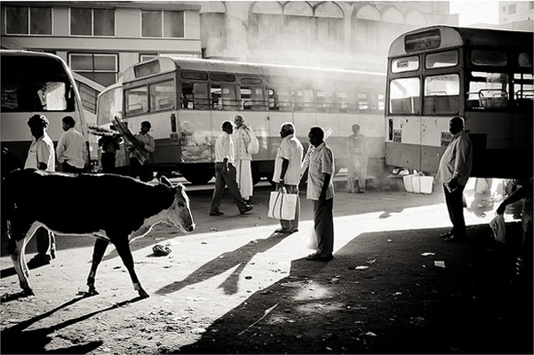 Bangalore | Late Afternoon