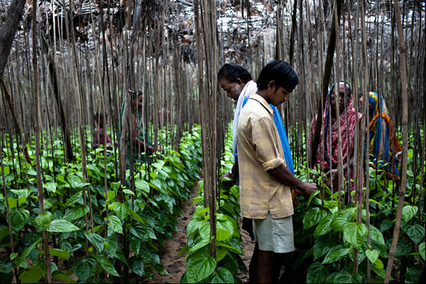 Interview with Documentary Photographer Sanjit Das