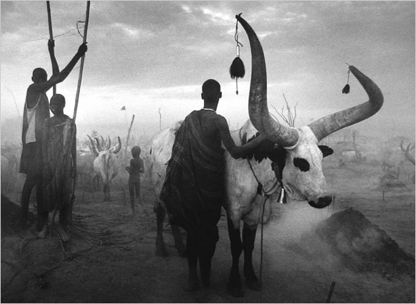 Sebastião Salgado - Inspiration from Masters of Photography