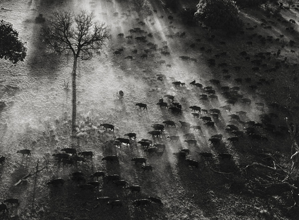 Sebastião Salgado - Inspiration from Masters of Photography