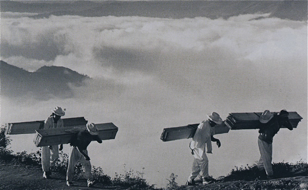 Sebastião Salgado - Inspiration from Masters of Photography