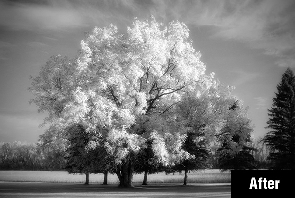 Creating an Infrared Photo Effect in Photoshop CS5