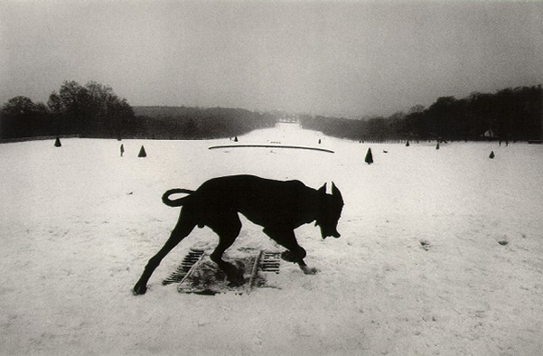 Josef Koudelka - Inspiration from Masters of Photography