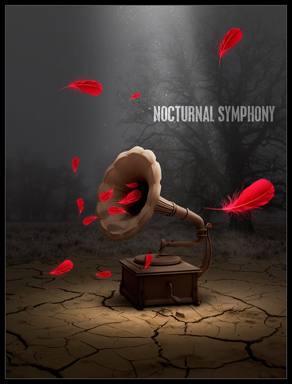 Nocturnal Symphony