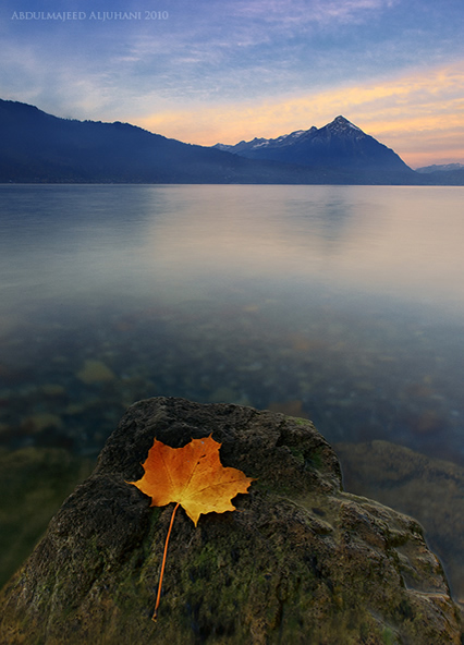 Autumn leave - Beautiful and Colorful Autumn Leaves Photography