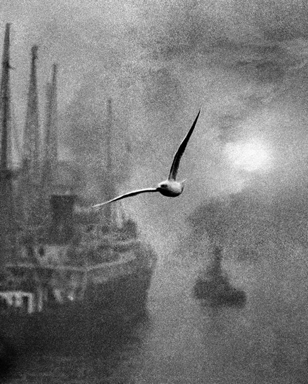 Bill Brandt - Inspiration from Masters of Photography