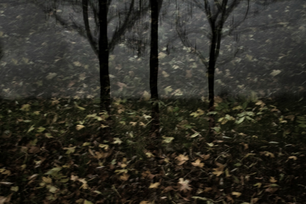 Showcase of Fineart Photographer Chris Friel