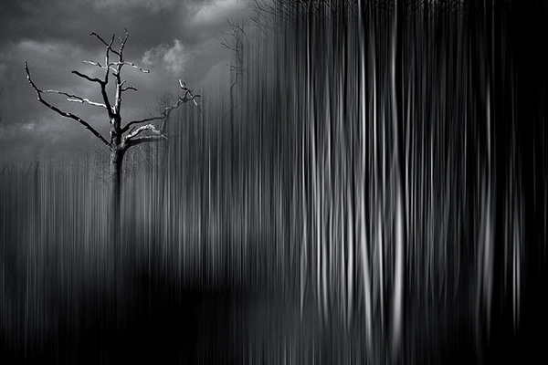 Showcase of Fineart Photographer Chris Friel