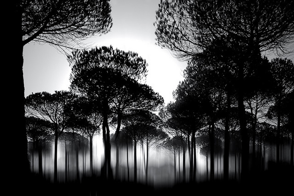 Showcase of Fineart Photographer Chris Friel