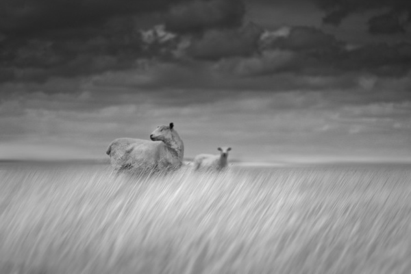 Showcase of Fineart Photographer Chris Friel