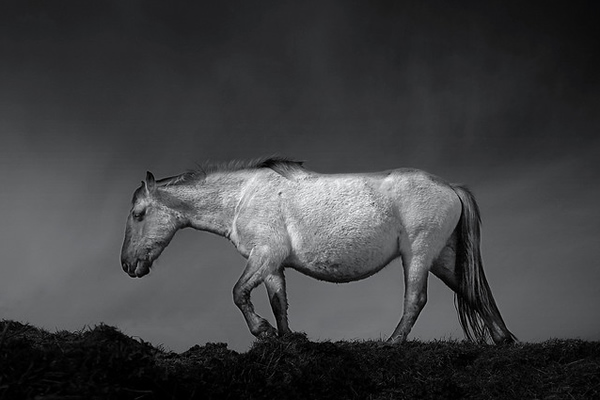 Showcase of Fineart Photographer Chris Friel