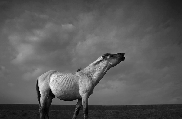 Showcase of Fineart Photographer Chris Friel