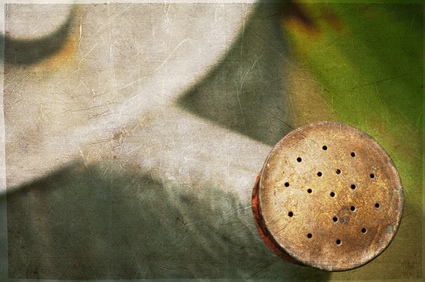 Creative Texture Photography by Pamela Schmieder 