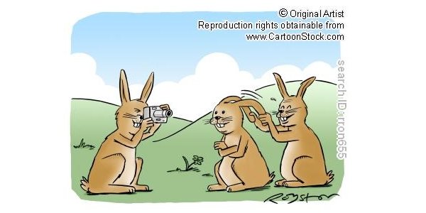 Photography Related Comics and Cartoons