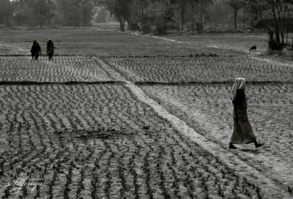 Street Photography by Supriyo Ranjan Sarkar