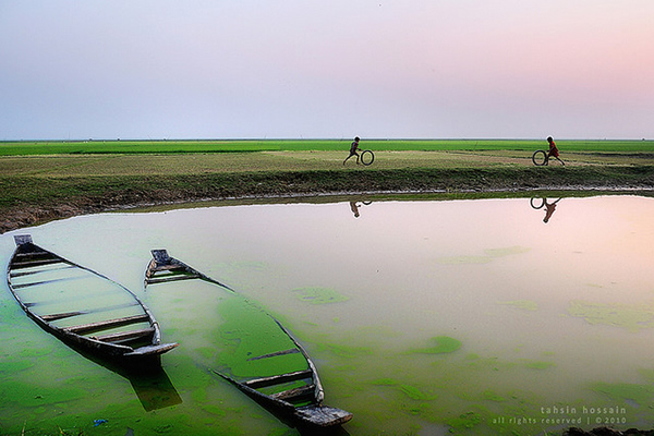 Pair of Devineness - Tanguar Haor, Shunamganj, Bangladesh