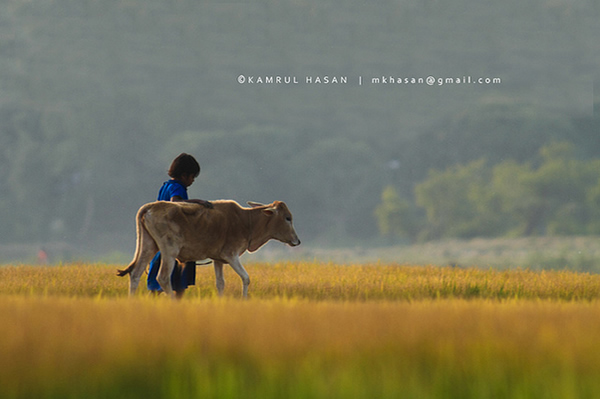 Beautiful Bangladesh - Shunamganj, Bangladesh