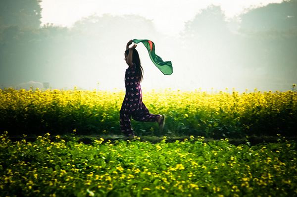 My Golden Bengal - Village Side, Bangladesh