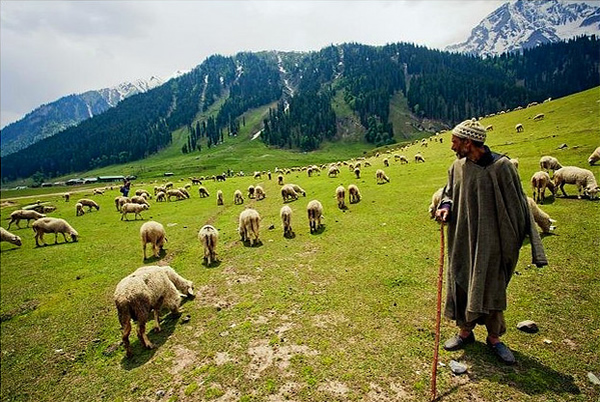 My Kingdom - Ladakh, India