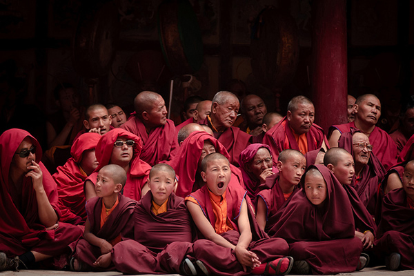 Bored - Hemis Festival, Ladakh, India