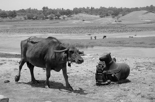 Interview with Indian Street Photographer Chirodeep Chaudhuri