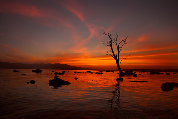 Best Entries of The Mood Of Silhouette Photo Contest