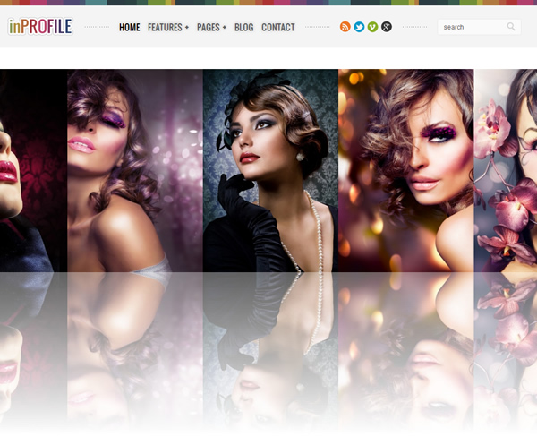 inProfile: Responsive Photography/Gallery WP Theme