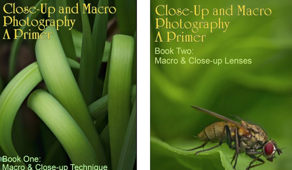 Free eBooks: Close-up Photography and Focus Stacking