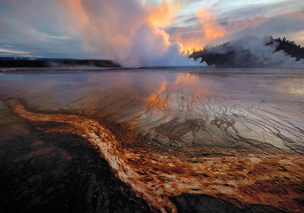 Interview with Nature Photographer Ian Plant