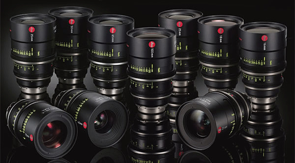 Top 3 Prime Lenses every photographer should have