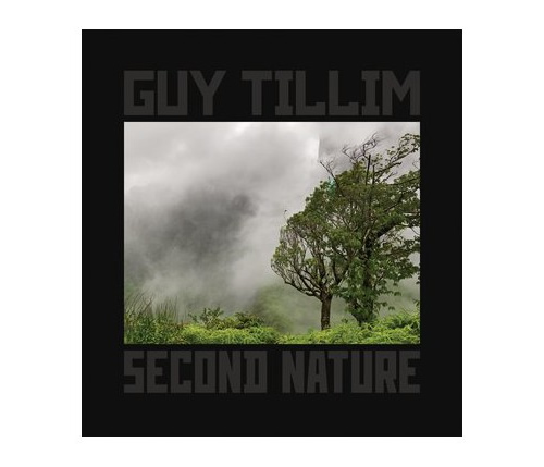 Guy Tillim: Selected Works