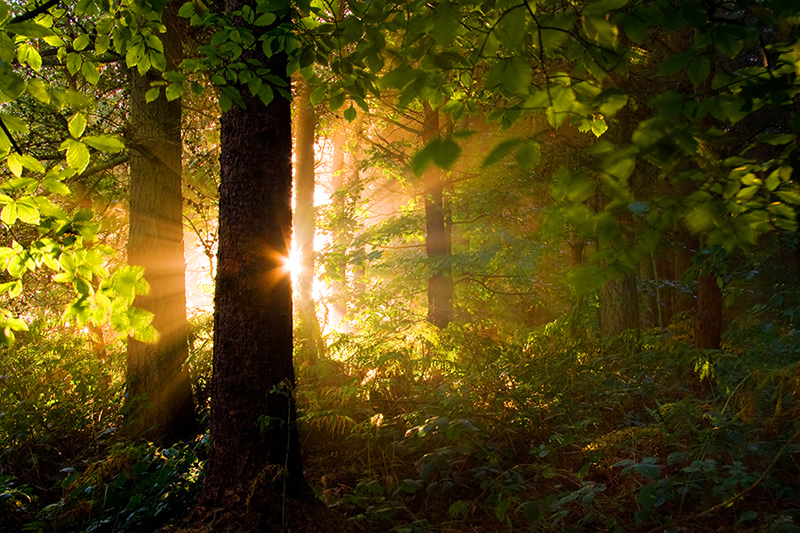 Beautiful Nature Photography by Jason Theaker