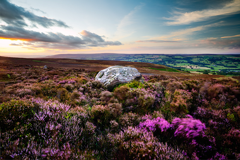 Beautiful Nature Photography by Jason Theaker