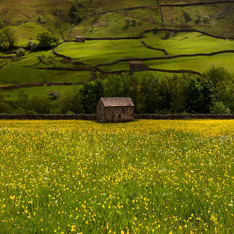 Beautiful Nature Photography by Jason Theaker