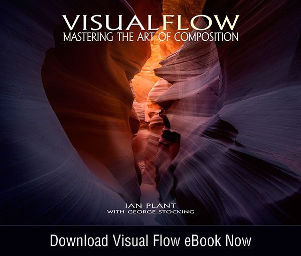 Visual Flow