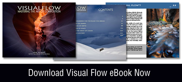 Visual Flow: Mastering the Art of Composition