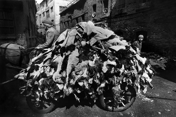 Ara Güler - Inspiration from Masters of Photography